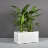69220.MBW_.Badalona.Angle_.wplants 69220.MBW .Badalona.Angle .wplants