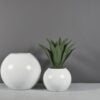 69295.Set .MBW .Globes1.wplants 2