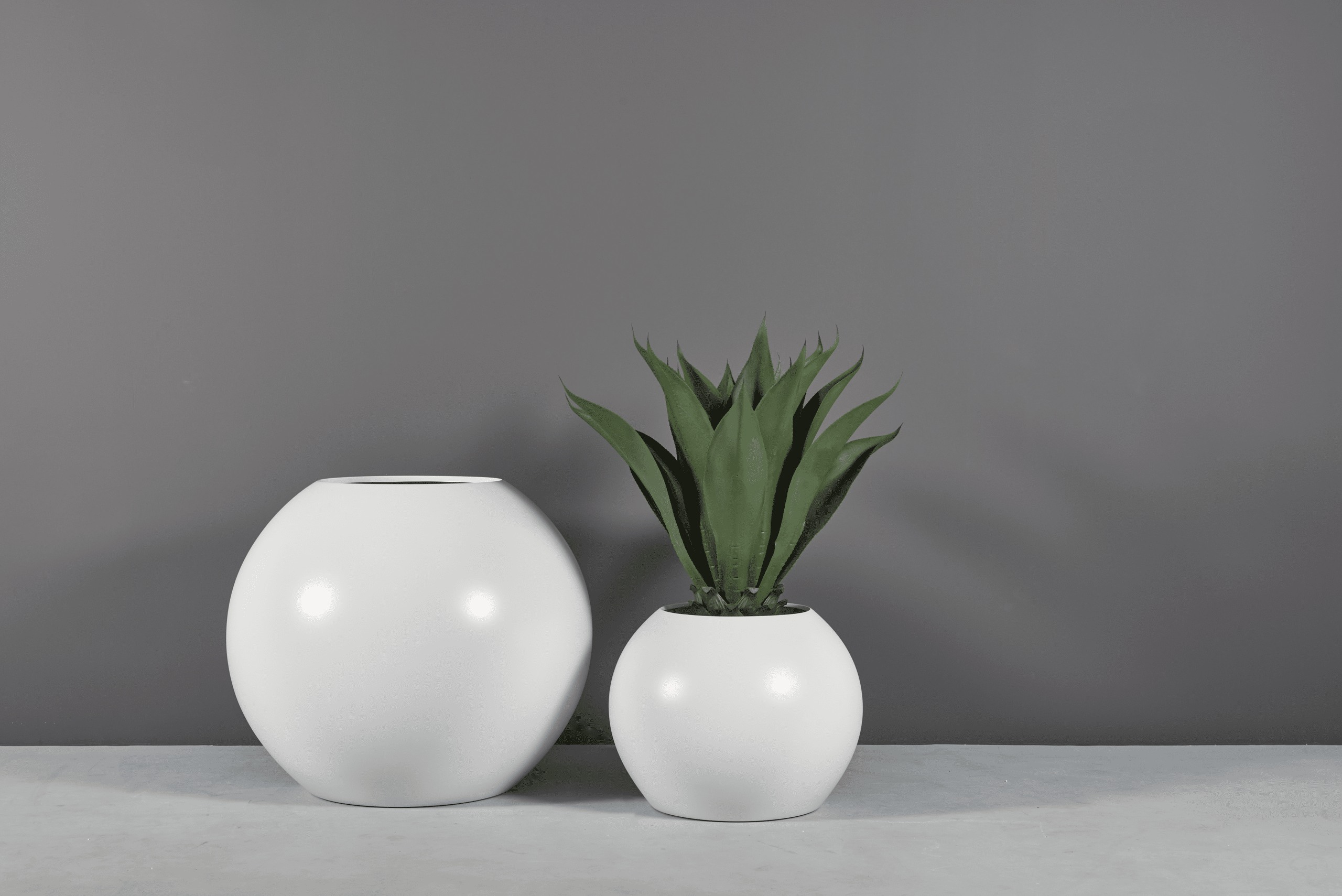 69295.Set .MBW .Globes1.wplants 2