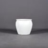 69460.16.MBW .Shanghai.Fishbowl1