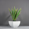 69904.MBW_.Kathryn.wplant 69904.MBW .Kathryn.wplant