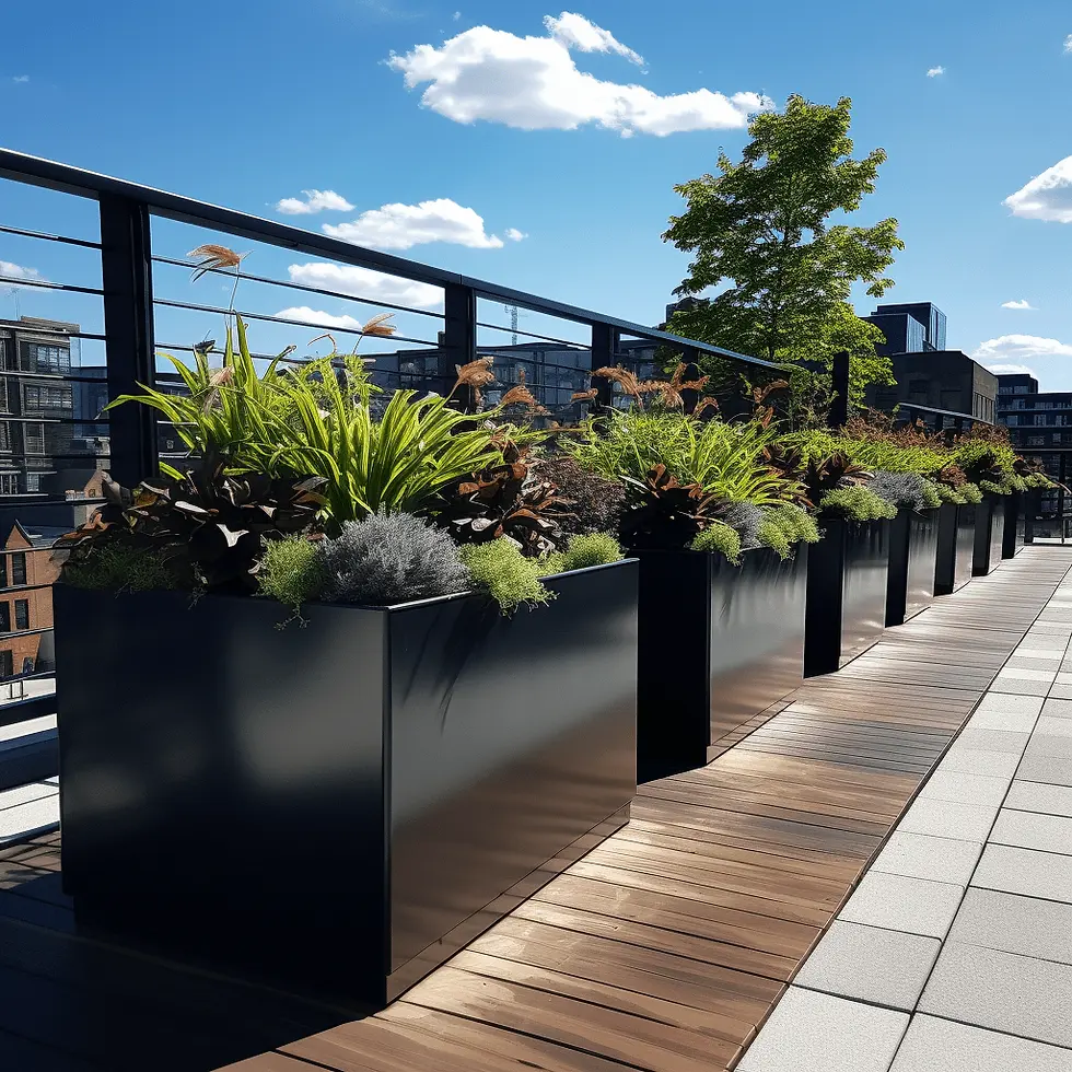 Homepage Commercial Planter Sizing Guide